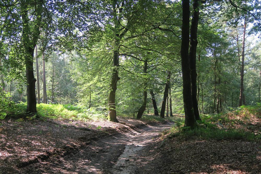 Вилла Het Kleine Landgoed Haarle Экстерьер фото